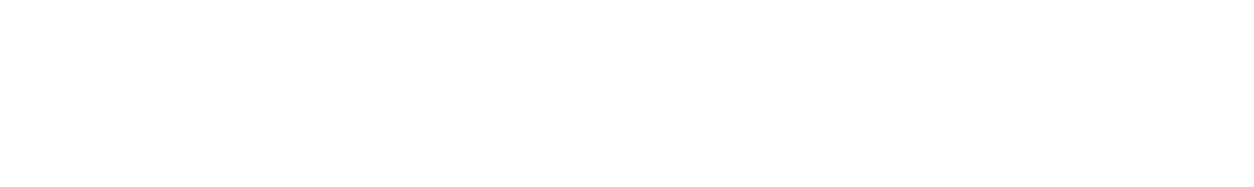 de castelli Logo Brand Marke